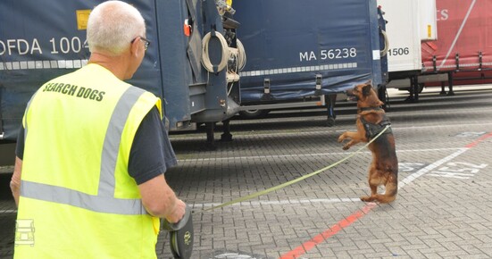 snifferdogs_LR_1.jpg snifferdogs_LR_1.jpg