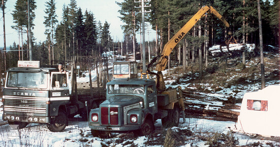 forestry.jpg forestry.jpg