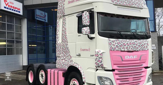 Mirtra1.jpg Mirtra1.jpg