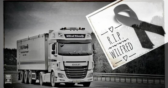 Wilfred.jpg Wilfred.jpg