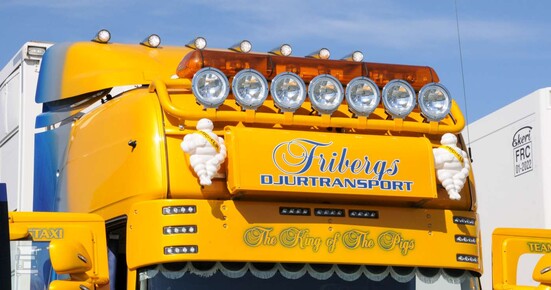 Hoog-2.jpg Hoog-2.jpg