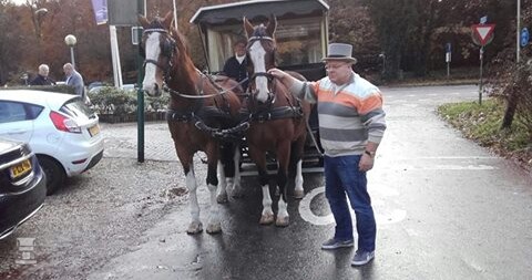 paardentram.jpg paardentram.jpg