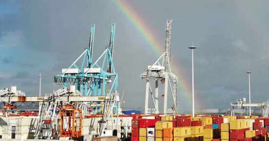 Regenboog Regenboog