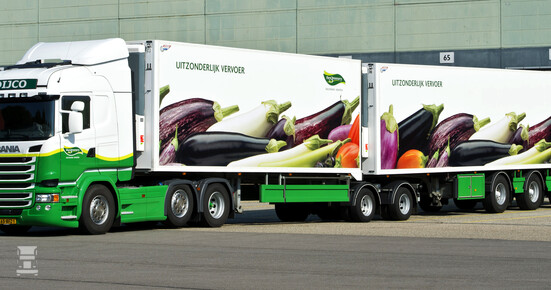 Dijcoscania.jpg Dijcoscania.jpg