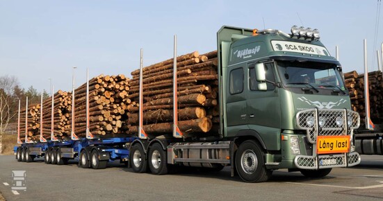 Duolang11400.jpg Duolang11400.jpg