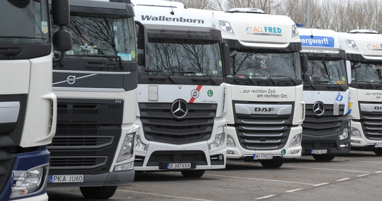 IEP_4071.jpg IEP_4071.jpg