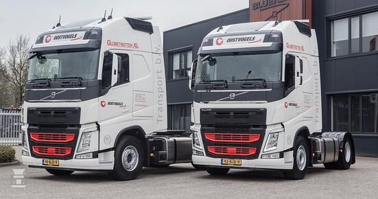 Oostvogels_Breda_003.jpg Oostvogels_Breda_003.jpg