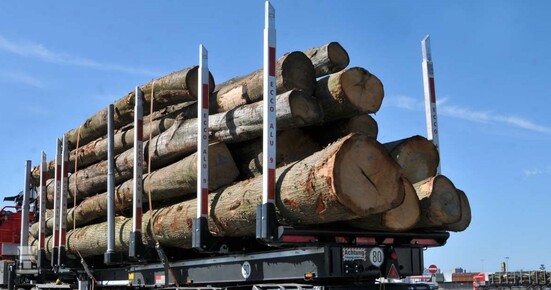 Rondhout_1.jpg Rondhout_1.jpg