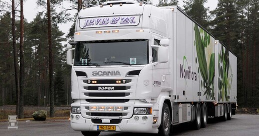 Noviflor-1400.jpg Noviflor-1400.jpg