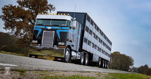 Berdex trailers (1) Berdex trailers (1)