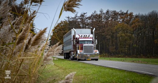Peterbilt Berdex