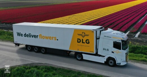 dlg-flowers-1536x576