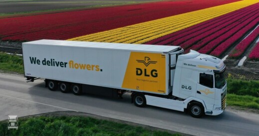 dlg-flowers-1536x576 dlg-flowers-1536x576