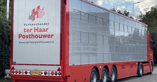 Haar4 (960 x 720) Haar4 (960 x 720)