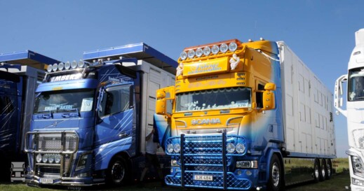 Hoog-1.jpg Hoog-1.jpg