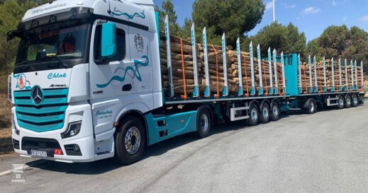 houtcombi 50 ton2 houtcombi 50 ton2