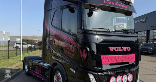 BIGtruck Krijn Tanis Pink Lady 2 (960 x 1280) BIGtruck Krijn Tanis Pink Lady 2 (960 x 1280)