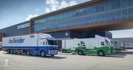 670_2019_Hollander_Barendrecht_013.jpg 670_2019_Hollander_Barendrecht_013.jpg