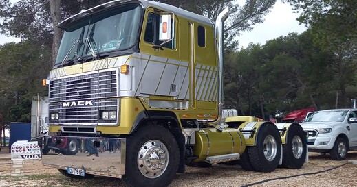 Paul Ricard Truckshow (5)