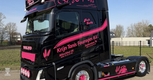 BIGtruck Krijn Tanis Pink Lady 4 (960 x 1280)