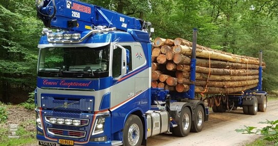 Martin-Heimensen.jpg Martin-Heimensen.jpg