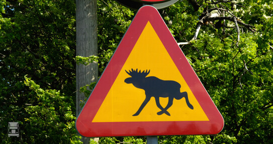 Zweden1.jpg Zweden1.jpg