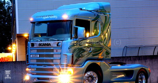 Sharks-14-1400.jpg Sharks-14-1400.jpg