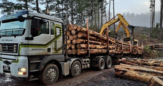 jacklines_NZ.jpg jacklines_NZ.jpg