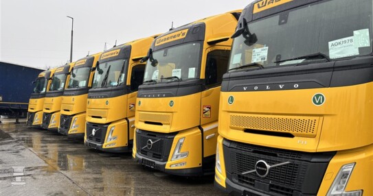 Waberers 2 (960 x 720)